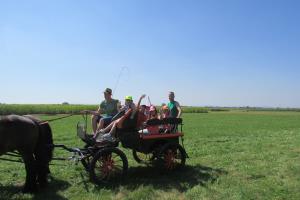 6. Konjeniški tabor konjeniškega društva Središče ob Dravi 7